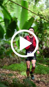 BIB:  <button type="button" onclick="openModal(26822682)" class="btn btn-primary btn-sm float-right" data-toggle="modal" data-target=".modal-high-quality">
                <i class="fa fa-download"></i> Download
                </button>